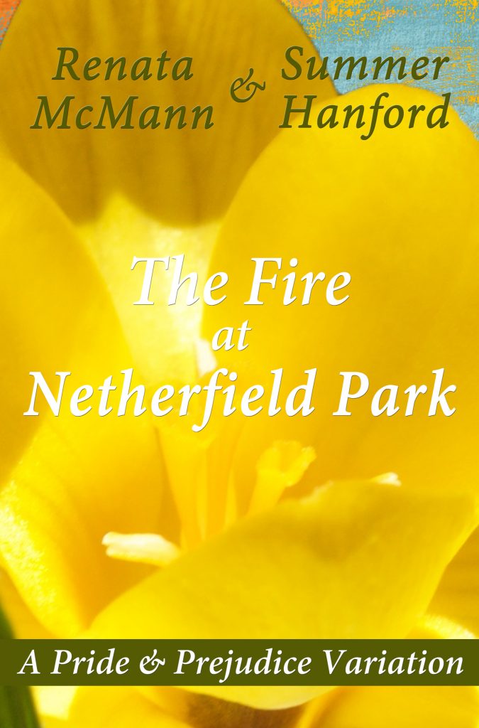 The Fire at Netherfield Park Front Cover